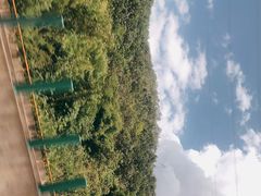 -野象谷景区