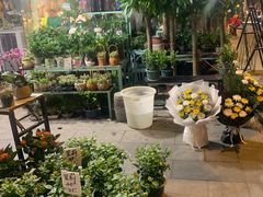 -循礼门鲜花花市(武汉循礼门店)