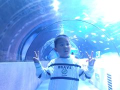 -太平洋海底世界