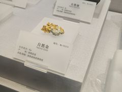 -湖南省地质博物馆