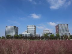 -映月湖中央公园