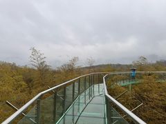 -陶祖圣境风景区