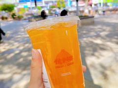 -伏小桃(明瓦廊店)