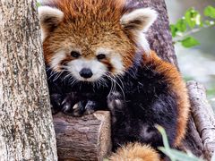 -Galleria百货店名品馆