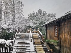 -乌镇景区