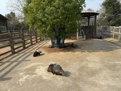 -苏州太湖西山岛开心农场