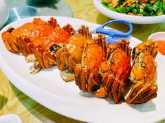 -九號渔港·蒸汽海鲜·粤菜茶点(八卦岭店)