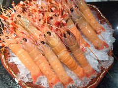 -daozao料理美术馆(东营店)