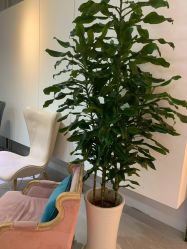 -P.STYLE派斯造型