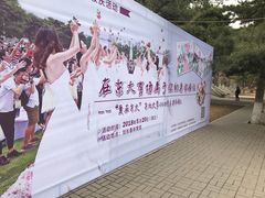 -东北大学(南湖校区)