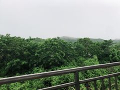 -亚龙湾站