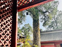 -北京上方山国家森林公园