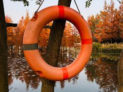 -白鹭湾湿地公园