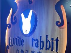 -白兔子密室(长寿路店)