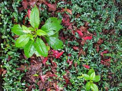 -敬亭山风景名胜区