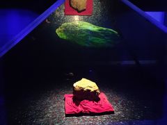 -吉林市博物馆