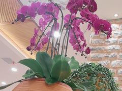 -第六季自助餐厅(甜水园店)