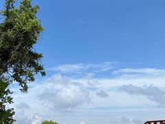 -上海滨江森林公园