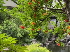 -南京市民俗博物馆(甘熙宅第)