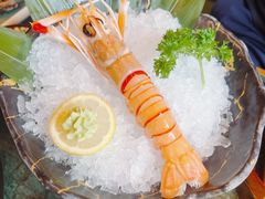 -牛New寿喜烧(金鹰世界店)