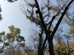 -宁波市保国寺古建筑博物馆