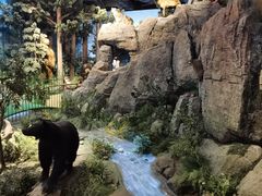 -陕西自然博物馆