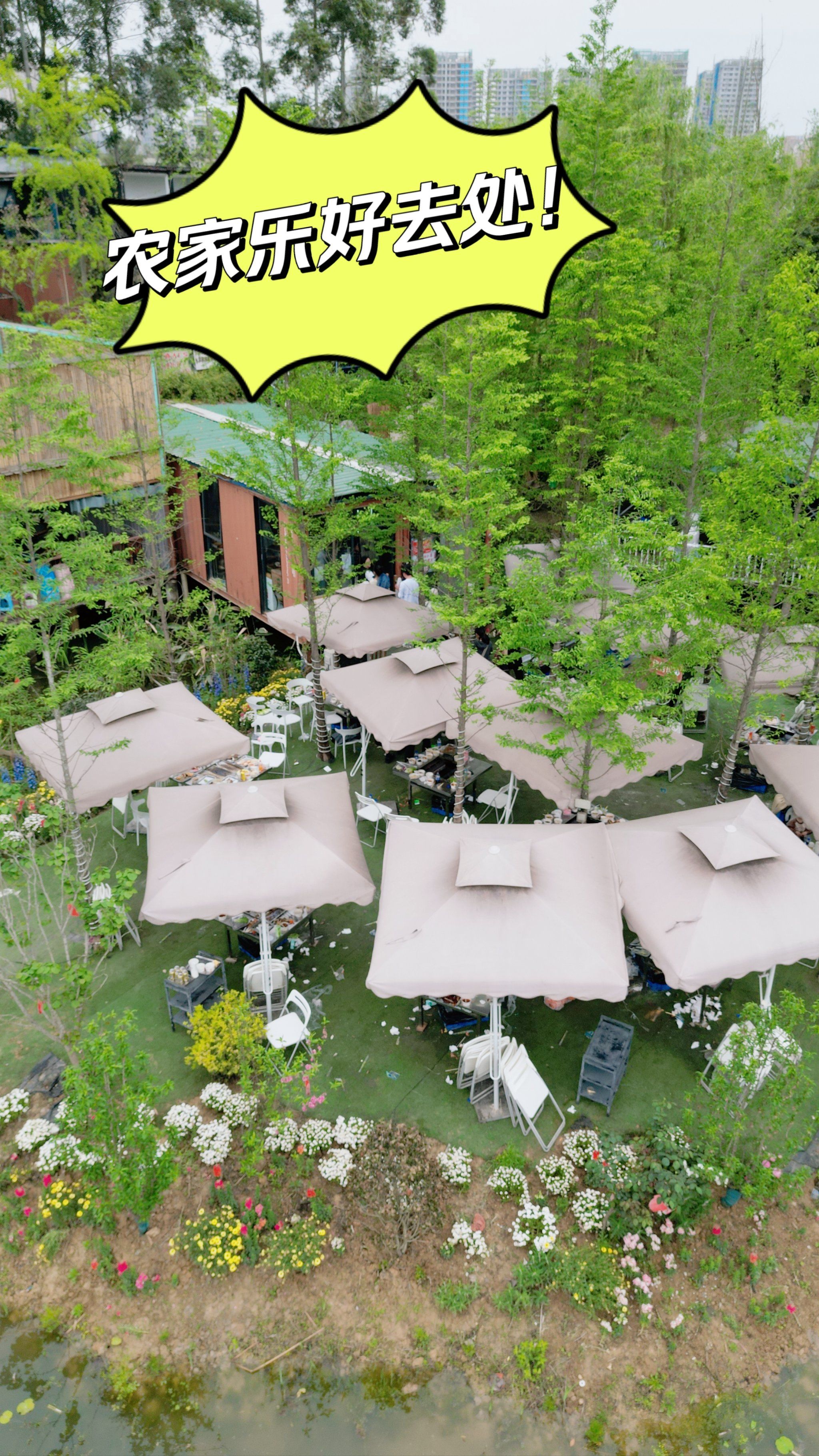 成都农家乐,就选这家啦!( 07 0607)78