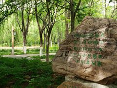 -洛阳市隋唐城遗址植物园