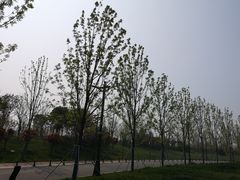 -西安世博园
