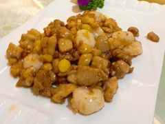 -丁老爷子苏香圆