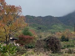 -塔川景区