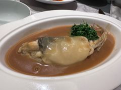 -沈灶河豚宴·河豚融合餐厅(汉中路店)