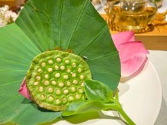 -叶叶菩提(太原别墅店)