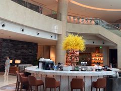 -Plush大堂酒廊(北京金融街威斯汀大酒店)