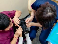 -芭比堂动物医院·CT·微创中心(新顺分院)