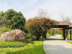 -鹅湖玫瑰文化园