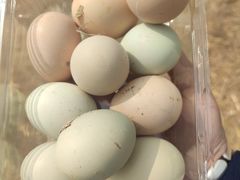 -甜心庄园·甜心草莓采摘园(西青中北店)