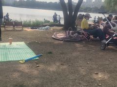 -南翔镇银翔湖公园
