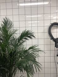 -FC·fashion creativity