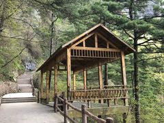 -秦岭天竺山景区