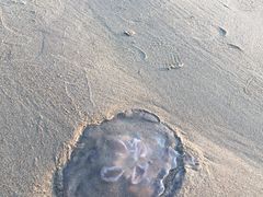 -南戴河旅游度假区