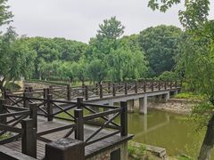 -上海鲜花港