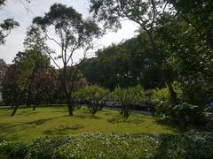 -上海虹桥迎宾馆