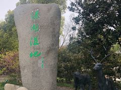 -溱湖国家湿地公园