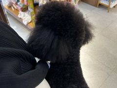 -FAELING PETS美天灵宠物(富力广场店)