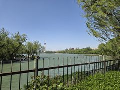 -大渔之观(安贞店)