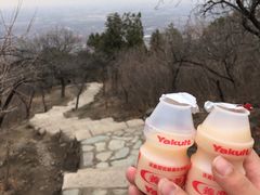 -北京西山国家森林公园