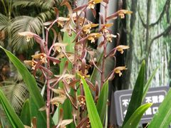 -北京植物园-展览温室