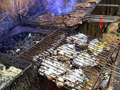 -周记老沈阳焦火鸡架