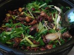 酱香鸡煲-清真重庆巴爷香辣鸡煲(南小巷店)